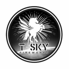 T-SKY FIREWORKS