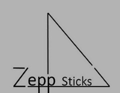 ZEPP STICKS