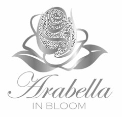 ARABELLA IN BLOOM