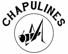 CHAPULINES