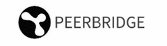 PEERBRIDGE