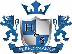 H&S PERFORMANCE