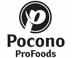 P POCONO PROFOODS