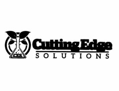 CES CUTTINGEDGE SOLUTIONS