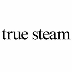 TRUE STEAM