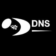 DNS