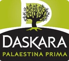 D DASKARA PALAESTINA PRIMA