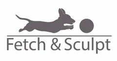 FETCH & SCULPT