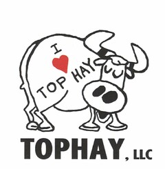 I (HEART DESIGN) TOP HAY