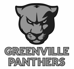 GREENVILLE PANTHERS