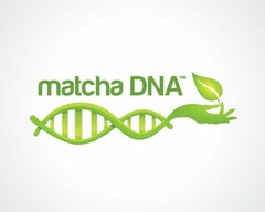 MATCHA DNA