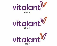 VITALANT V