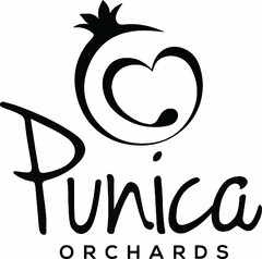 PUNICA ORCHARDS