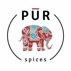 PUR  SPICES