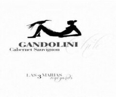 GANDOLINI CABERNET SAUVIGNON CHILE LAS 3 MARIAS VINEYARDS