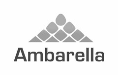 AMBARELLA