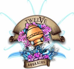 TWELVE XII AQUARIUS