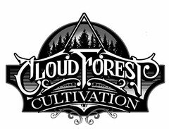 CLOUD FOREST CULTIVATION