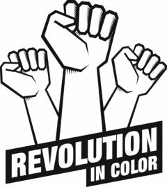 REVOLUTION IN COLOR