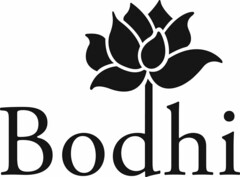 BODHI