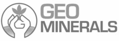 G GEO MINERALS