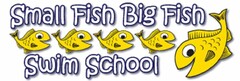 SMALL FISH BIG FISH SWIM SCHOOL