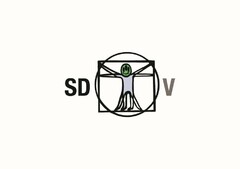 SD V