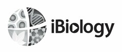 IBIOLOGY