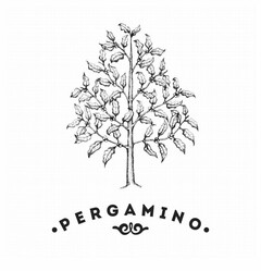 PERGAMINO