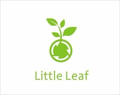 LITTLE LEAF