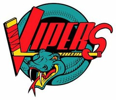 DETROIT VIPERS