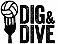 DIG & DIVE