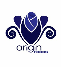 ORIGIN FOODS