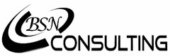 BSN CONSULTING