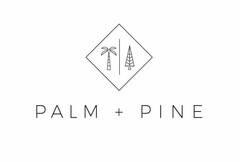 PALM + PINE