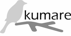 KUMARE