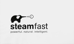 STEAMFAST POWERFUL. NATURAL. INTELLIGENT.