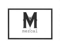 M MEZCAL