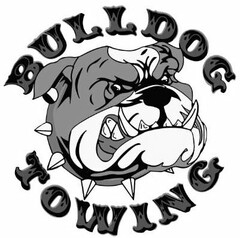 BULLDOG TOWING