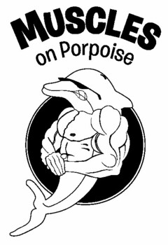 MUSCLES ON PORPOISE