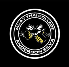 MUAY THAI COLLEGE ANDERSON SILVA