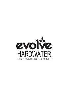 EVOLVE HARDWATER SCALE & MINERAL REMOVER