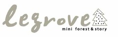 LEGROVE MINI FOREST & STORY