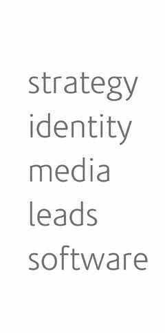 STRATEGY IDENTITY MEDIA LEADS SOFTWARE