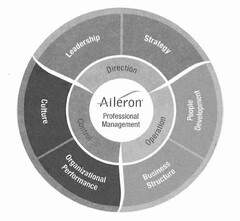 AILERON PROFESSIONAL MANAGEMENT DIRECTION LEADERSHIP STRATEGY OPERATION BUSINESS STRUCTURE PEOPLE DEVELOPMENT CONTROL CULTURE ORGANIZATIONAL PERFORMANCE