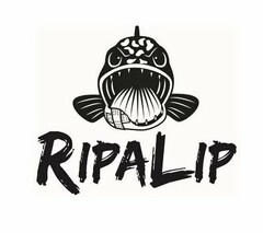 RIPALIP