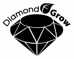 DIAMOND GROW