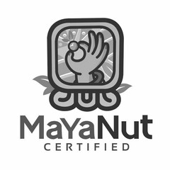 MAYA NUT CERTIFIED