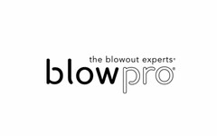 THE BLOWOUT EXPERTS BLOWPRO