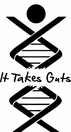 IT TAKES GUTS